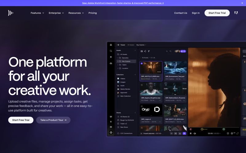 Frame.io preview