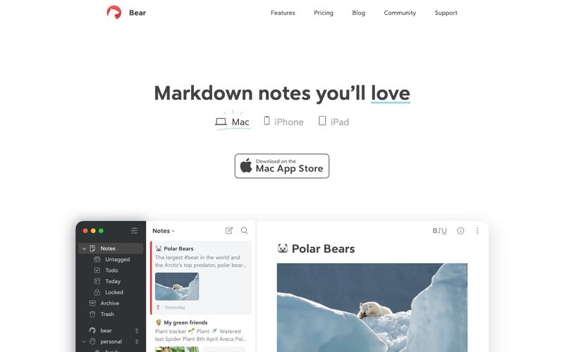 Bear Markdown Notes preview