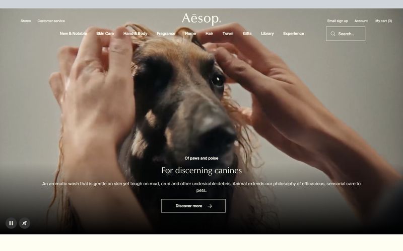 Aesop preview