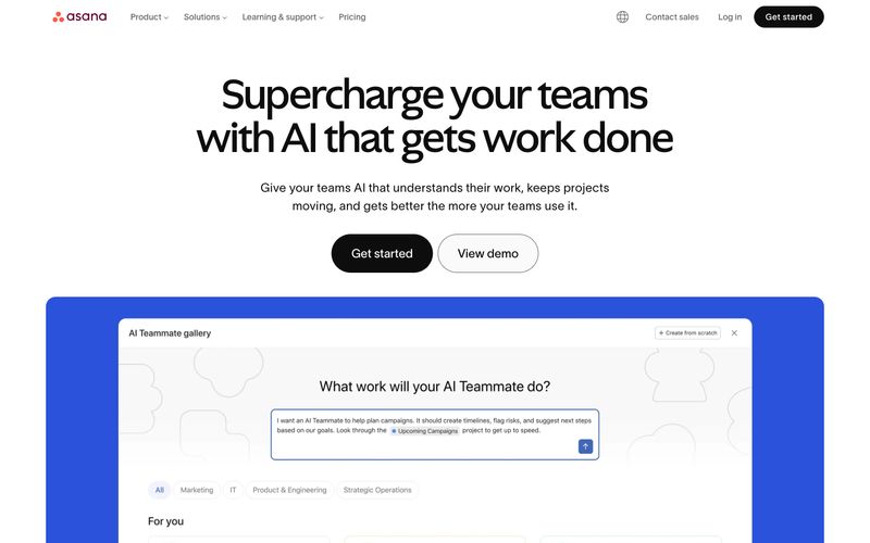Asana preview