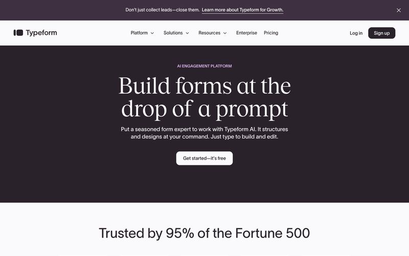 Typeform preview