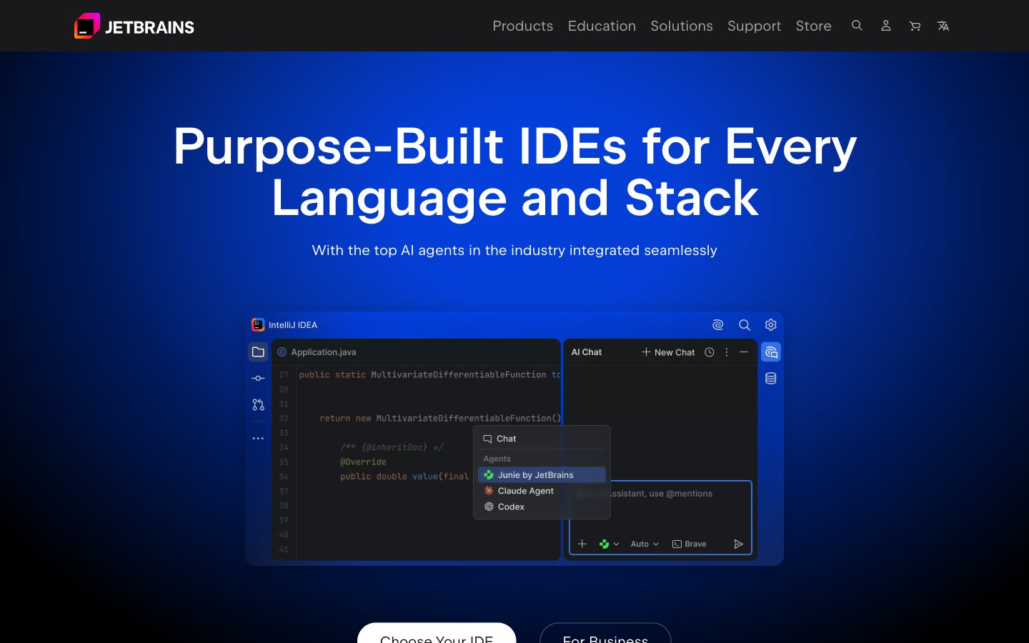 JetBrains captured reference