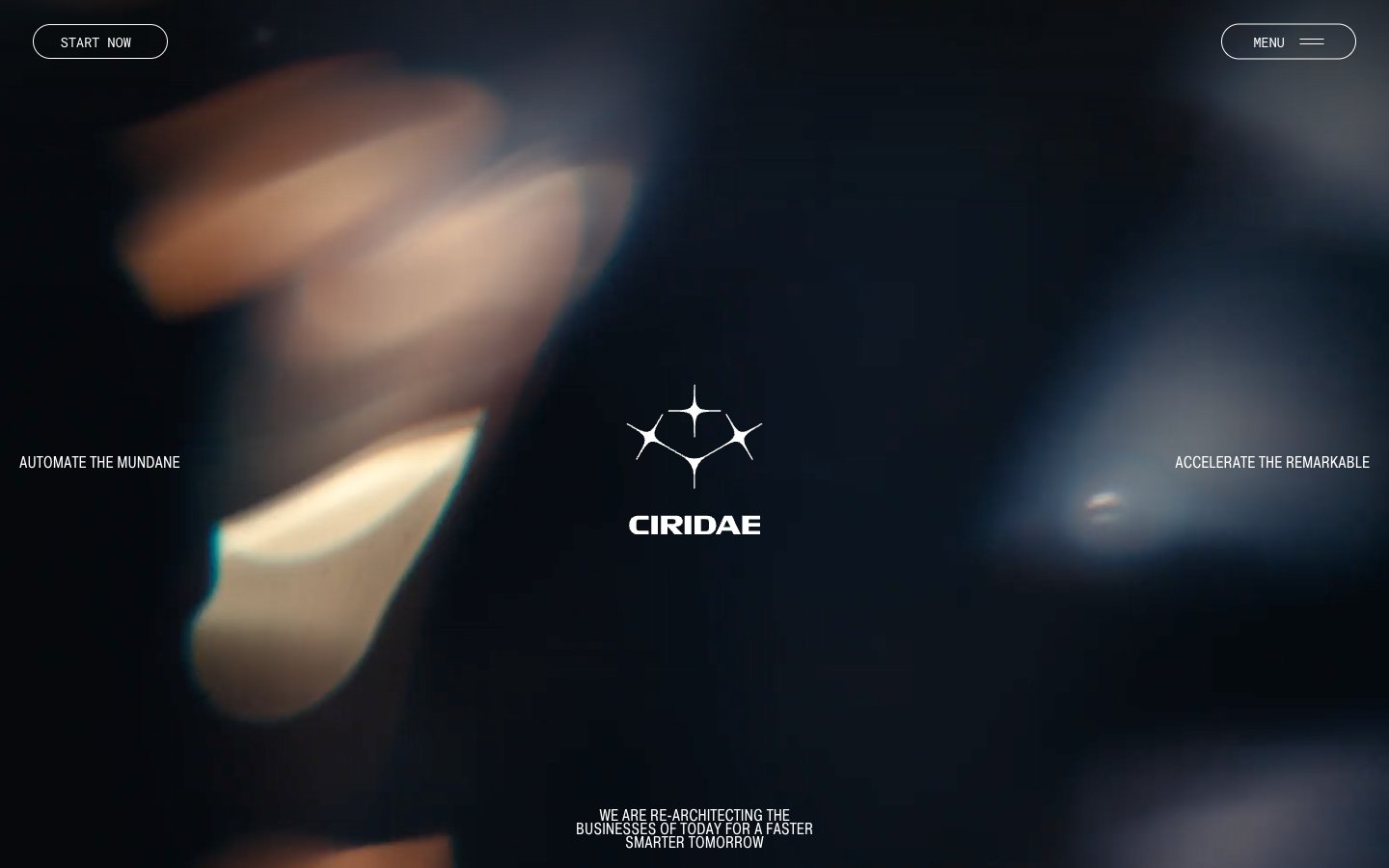 Ciridae captured reference