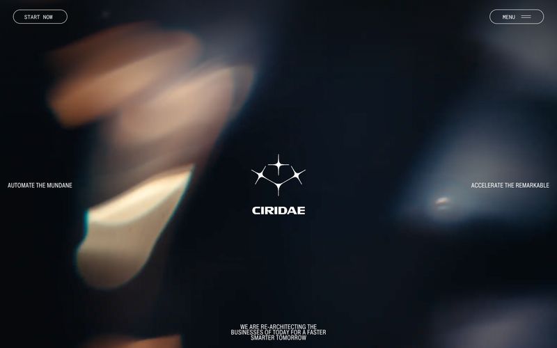 Ciridae preview