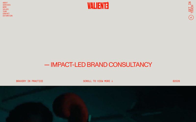 VALIENTE BRANDS preview