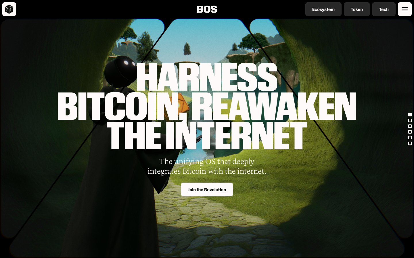 BitcoinOS captured reference