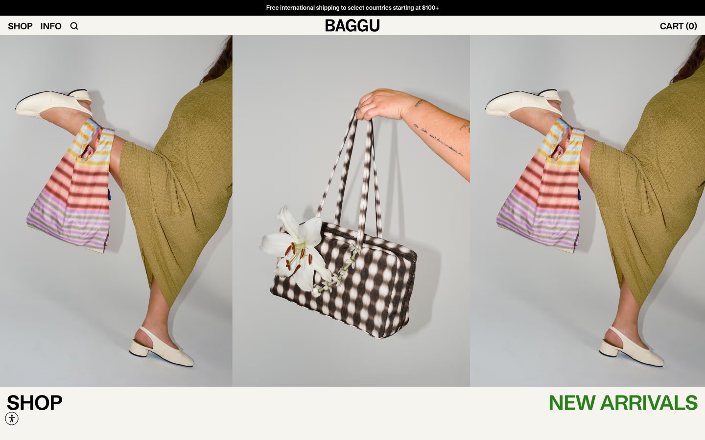 Baggu captured reference