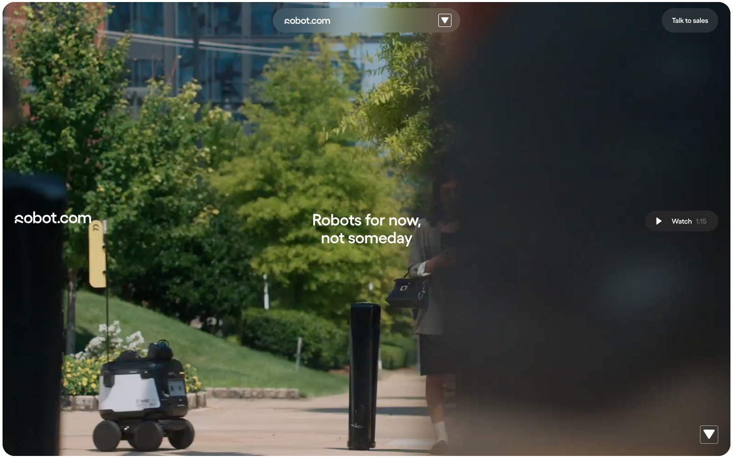 robot.com captured reference