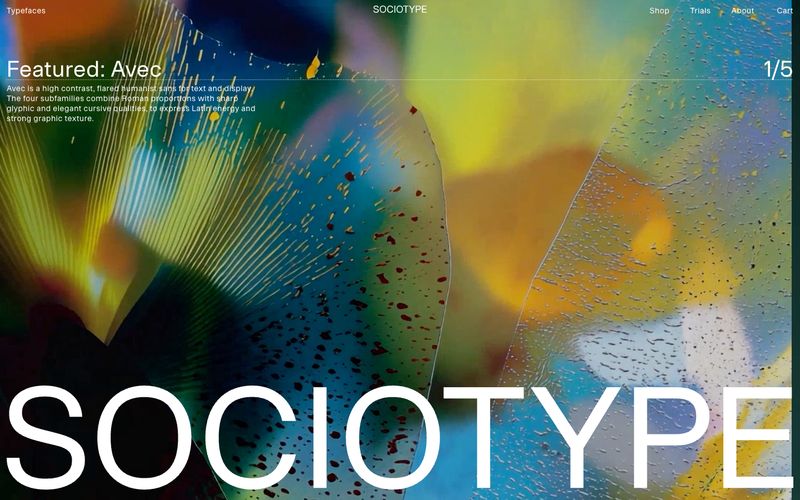 Sociotype preview