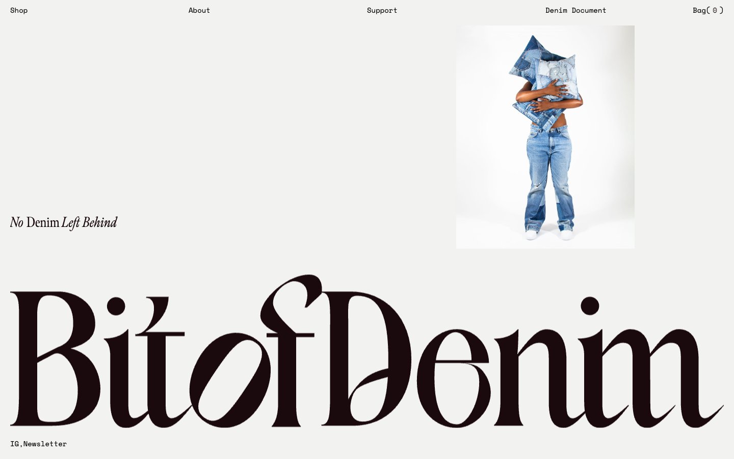 Bitofdenim captured reference