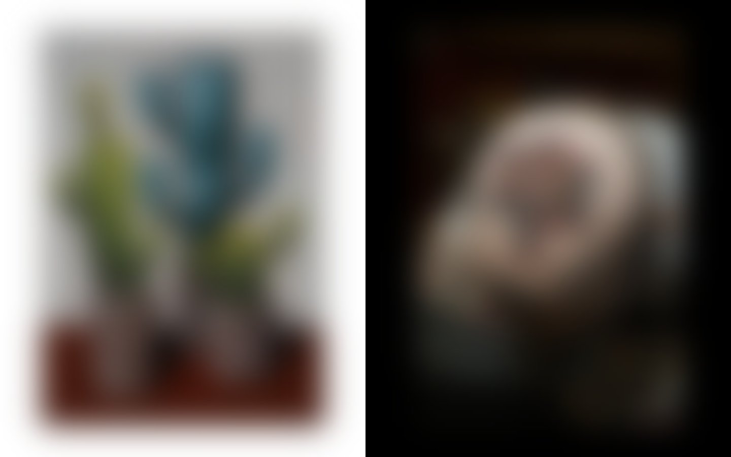 Orderandmovement captured reference