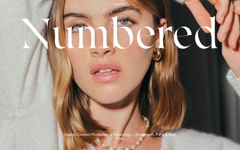 Numbered preview