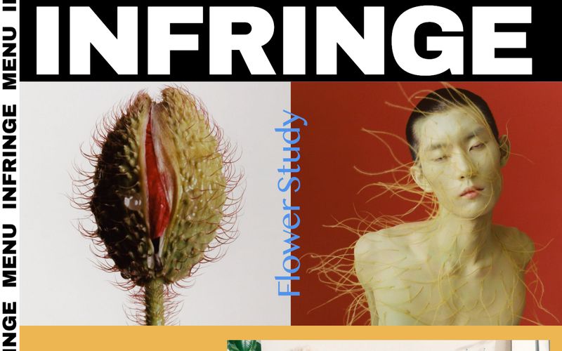 INFRINGE preview