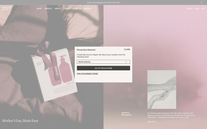 Ashleyandco preview